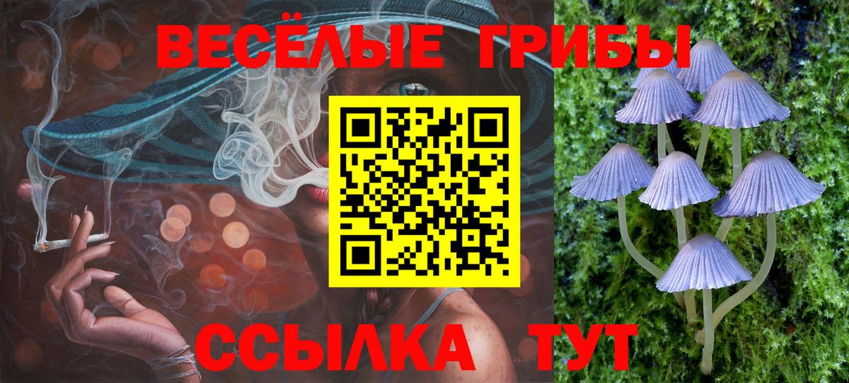 Псилоцибиновые грибы Magic Shrooms  Псилоцибиновые грибы GOLDEN TEACHER  Вход с VPN  Евпатория 